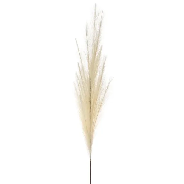 Pampas Κλαδί Μπέζ 95εκ. Inart