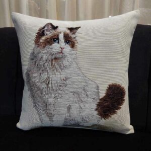 Διακοσμητικό Μαξιλαράκι