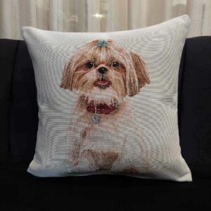 Διακοσμητικό Μαξιλαράκι