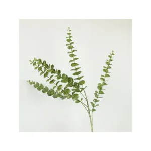 ESTHETI Κλαδί Φυτό Ευκάλυπτος Πράσινο 84cm 758-12120