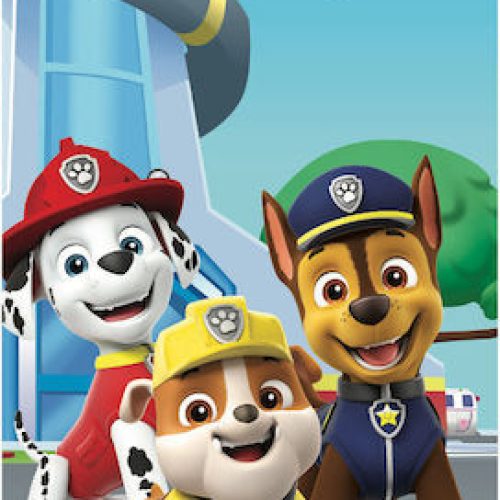 BOREA Παιδική Πετσέτα Θαλάσσης Paw Patrol Τιρκουάζ 70x140cm