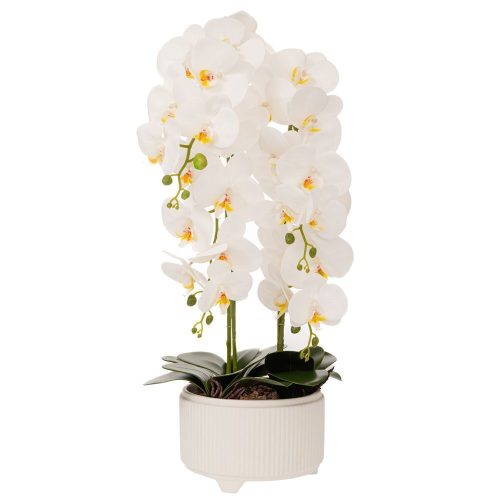 https://www.semiramishome.gr/wp-content/uploads/2025/08/20250424120704_leyki_orchidea_leyko_keramiko_kaspo_72ek_f24.jpeg