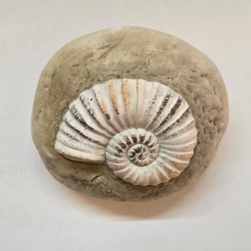 Κοχύλι σε Πέτρα 16x8εκ