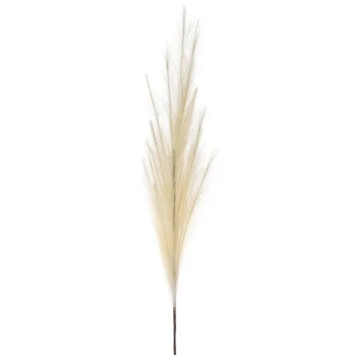 Pampas Κλαδί Μπέζ 95εκ. Inart