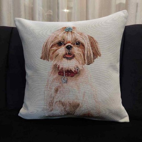 Διακοσμητικό Μαξιλαράκι